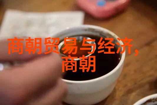 北周为什么要禅让给杨坚-龙兴之变北周禅让背后的权力博弈