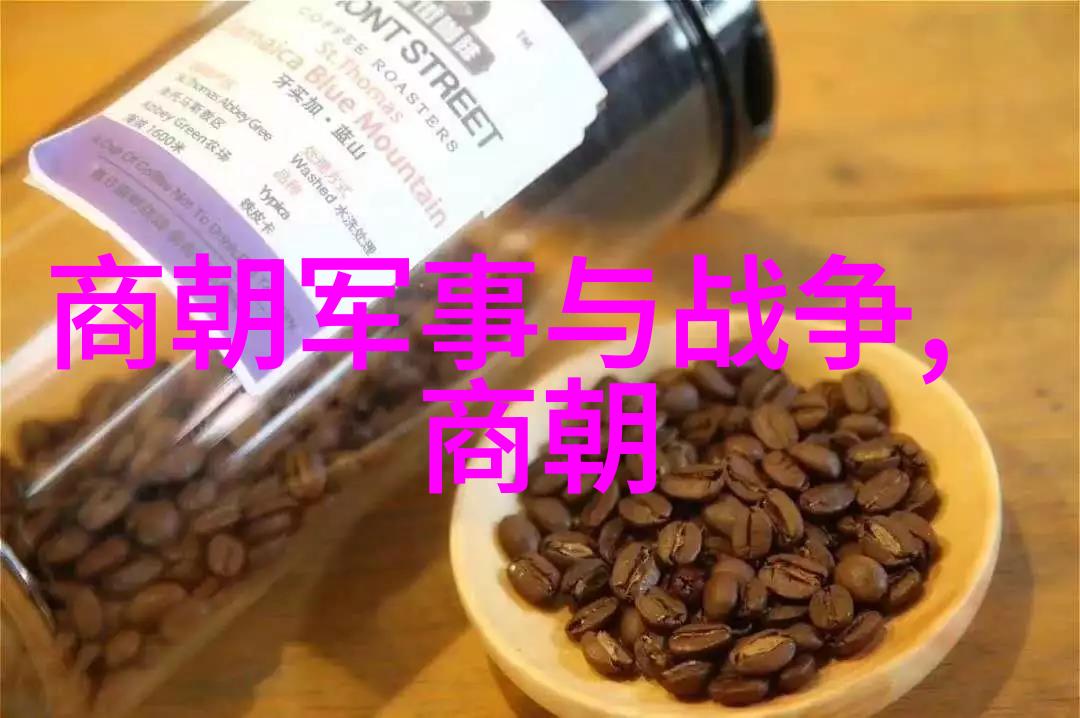 明朝时期历史我眼中的明朝风云权力斗争与文化繁荣