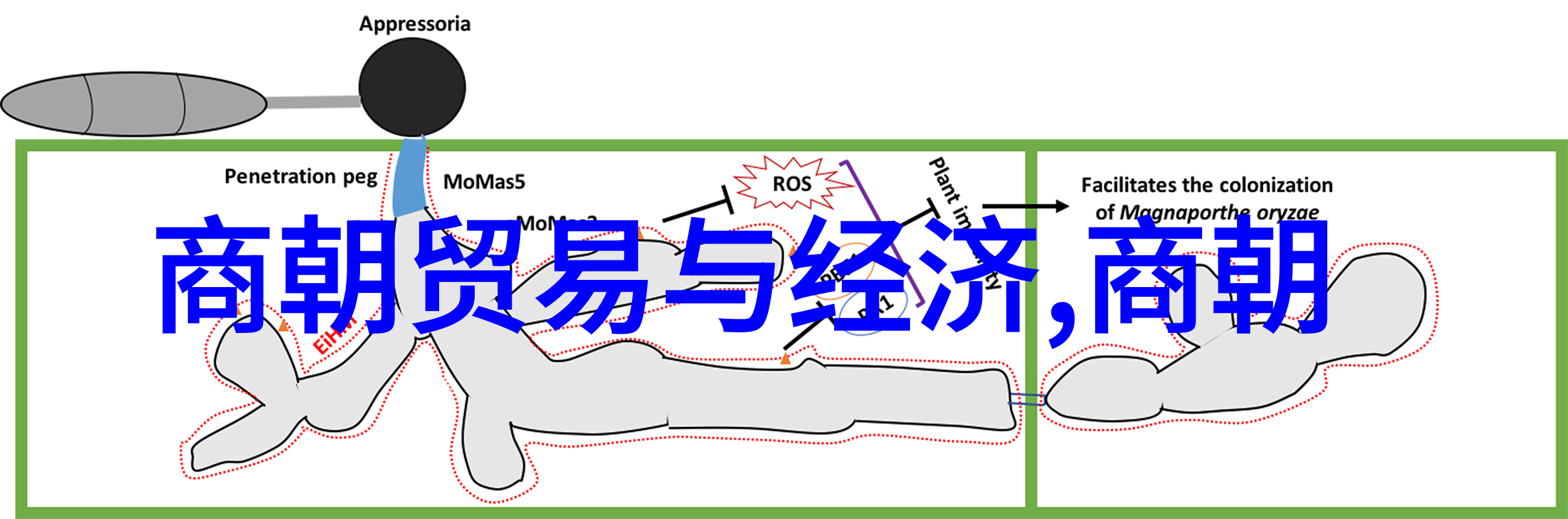 古今书法流传探索书写内容的丰富多彩