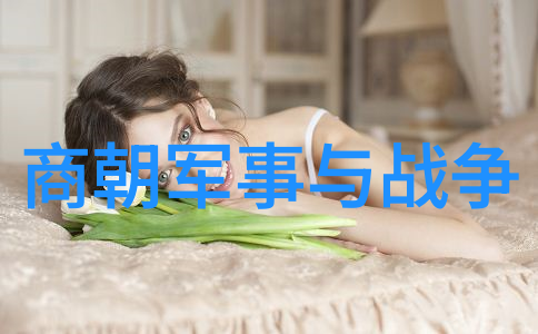 晋朝电视剧中历史事件的准确度如何