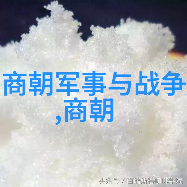 年轻的英年早婚剖析一代人的爱情与选择