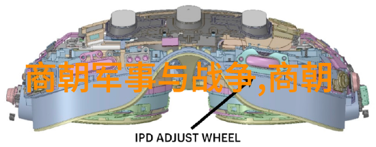 一夫多妻制的床上之谜同床异梦的代价是什么