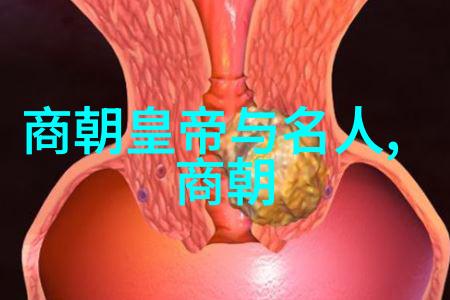 穿越古代重生为女主花千骨的奇遇与挑战