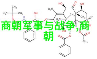 王安石变法对后世有何影响