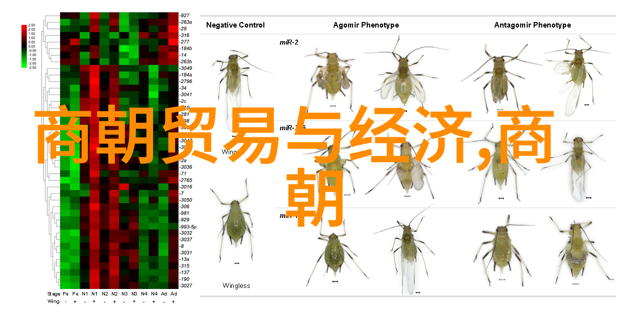 文化纹理织就记忆的诗篇