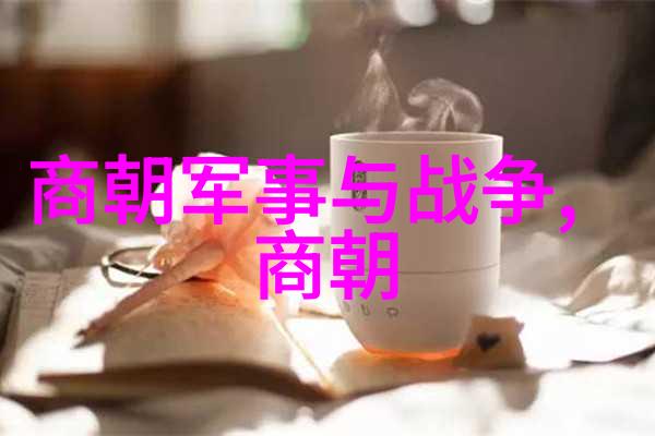 影响深远的阴谋康熙一代雍正如何取而代之