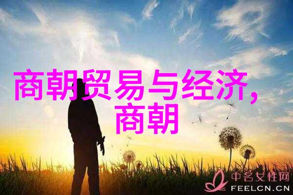 宋朝历史app揭秘宋代文人墨客如何使用