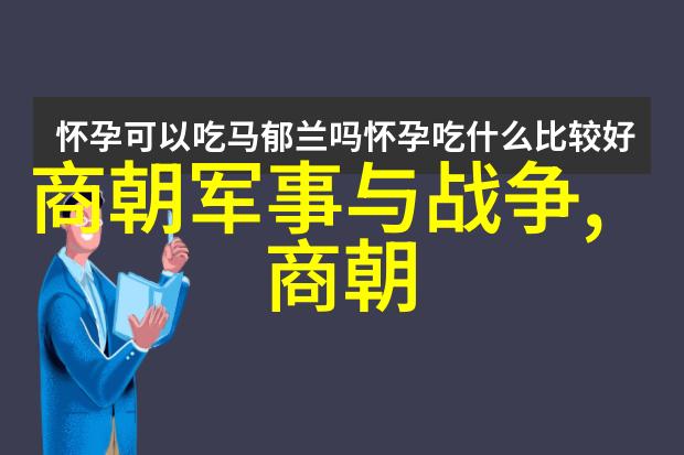 宋代风华从北宋的辉煌到南宋的抗金斗争