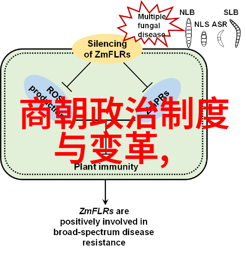 时间的秘密使者一位历史人物的未解之谜