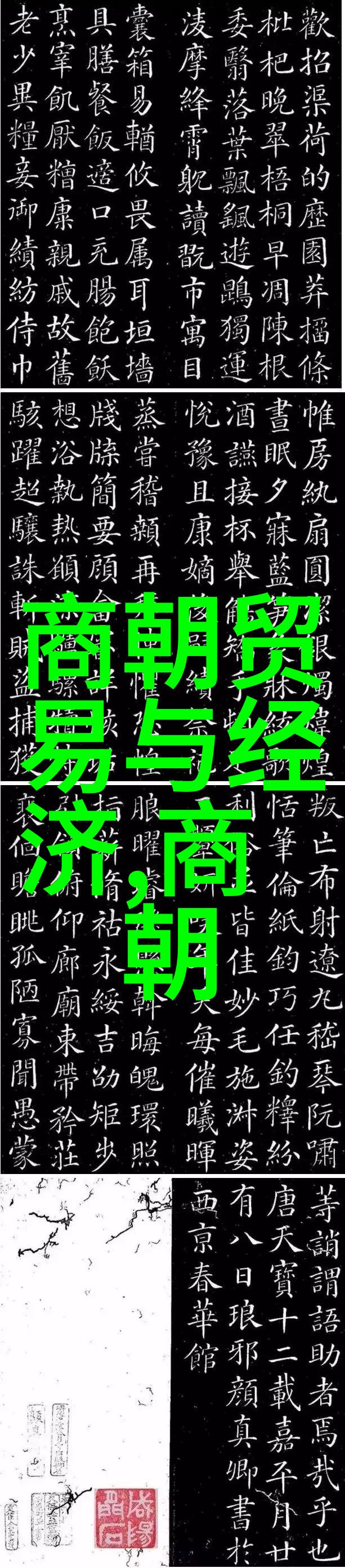 传承不息从古至今一个时代一个节奏一次又一次地跳跃在每个阶段上用音乐和诗词来记录回顾并预见未来