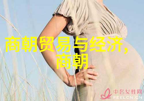 唐朝豪放女电影-飞花落雁唐代女性独立精神的影视探究