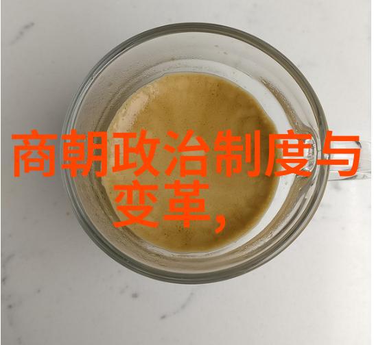 揭秘神机营明朝历史视频解密战斗力惊人