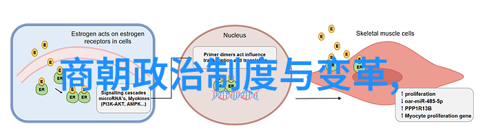 从奸相到忠臣秦桧的人生转变探究