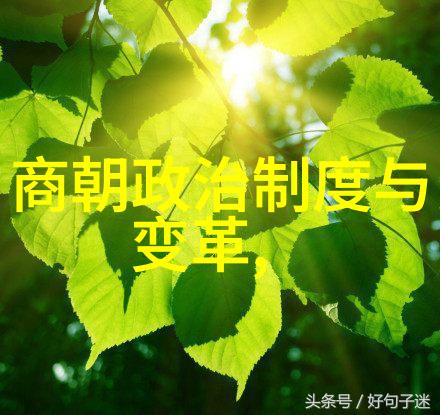 暗夜蔷薇魅txt下载我是如何在无尽的黑夜中发现那份神秘蔷薇的