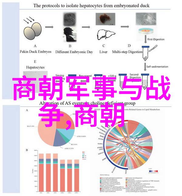 纷争与荣耀明朝帝王的子孙辈