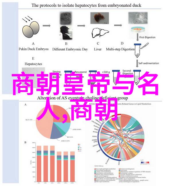 元顺帝北逃后的元朝历史 - 辽阔的荒野北逃与重组的元朝