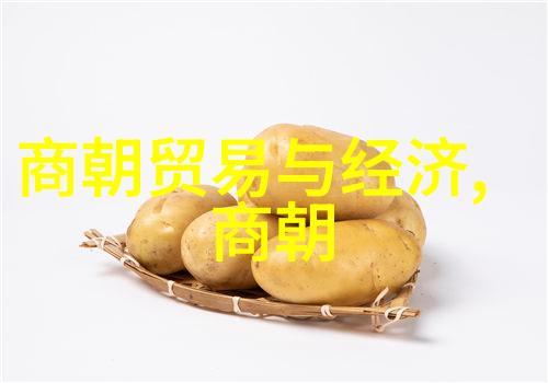 明朝南京都城设立史料分析