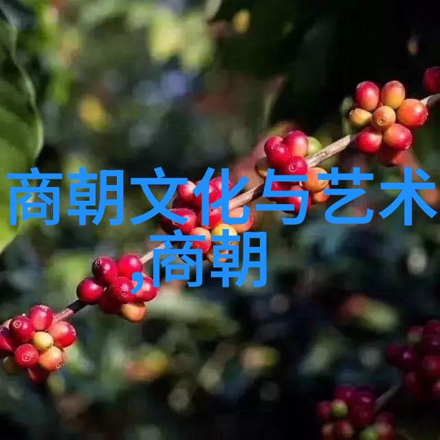 无人区探秘W358CC的神秘世界