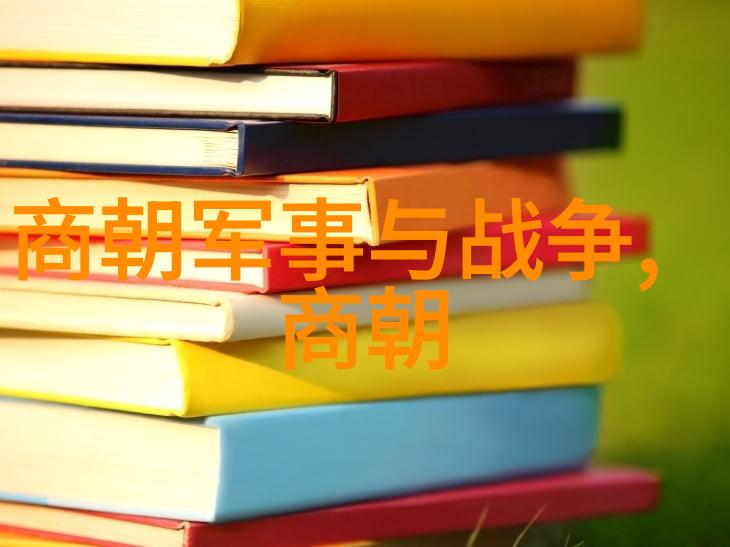 讲解中国历史的纪录片我眼中的古国一部讲述中国故事的纪录片