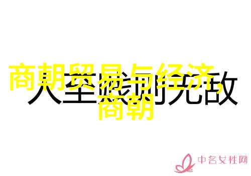 故宫探秘避开这些常见错误才能真正体验历史的深度