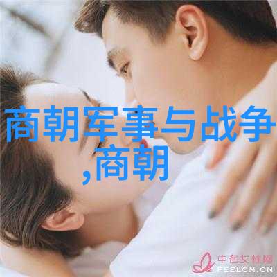 经典再现如何找到最佳的黄梅戏女驸马下载源