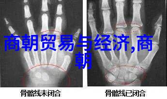 汉朝推恩令巧妙在七夕自然表白中的运用