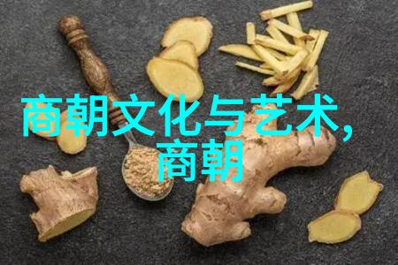 苏联卫国战争时期斯大林的决策分析