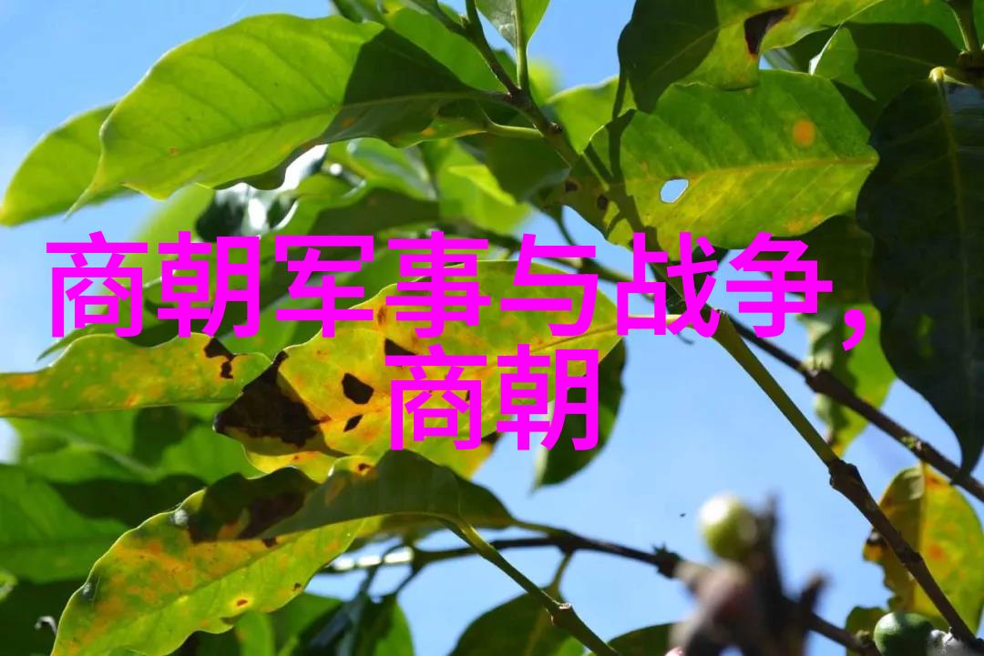 宋朝研究中的专家观点与历史评价的演变探索学术界对宋代繁荣的多维解读