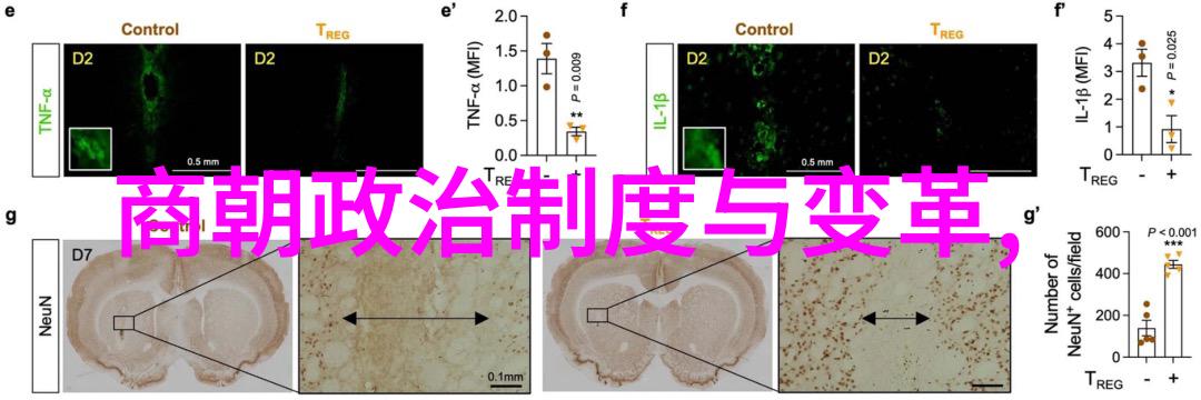 小镇上的书店角落