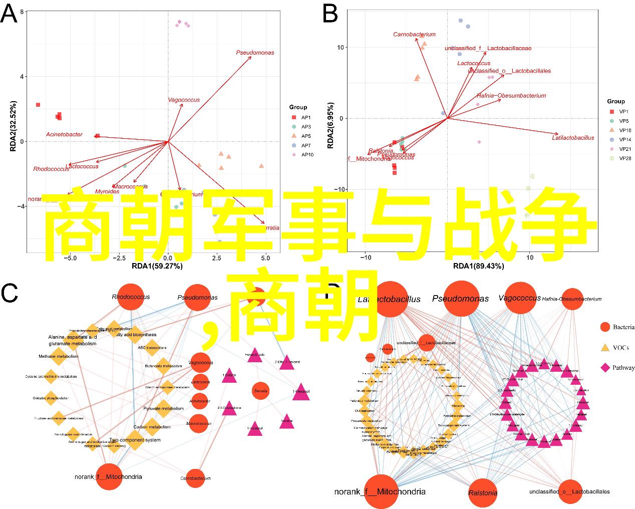 翻开明朝历史笑看乾坤趣味指南