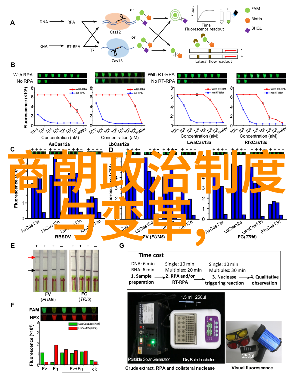 时间的巨轮世界历史探秘