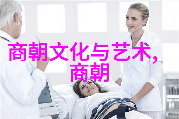 辽阔的草原与繁华的都城探索元朝的文化与政治体系