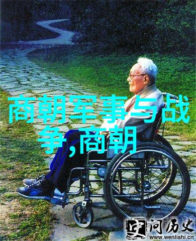 火焰与剑光十字军东征背后的真实故事是什么