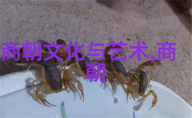 星辰大海勇敢航船上的渔夫与梦想