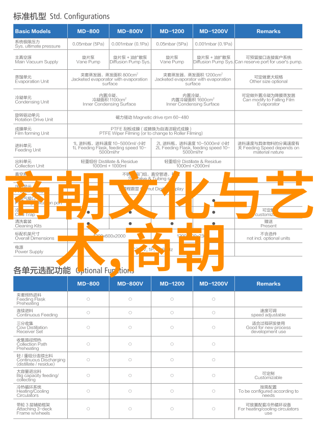 小学生神话故事我和龙的奇遇从学校后门到天空之城