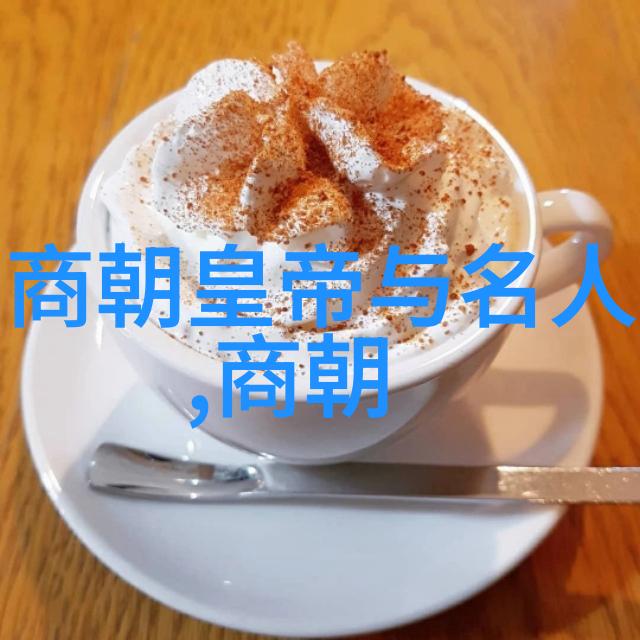 明朝那些年历史的回声与时间的轨迹