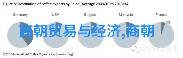 历代王朝之谜中国历史的秘密守护者