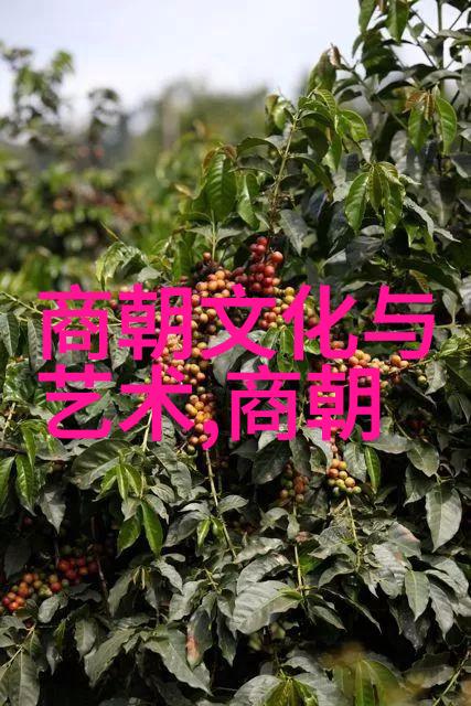 明朝历史-南京的荣耀明朝几位帝王将其定为都城