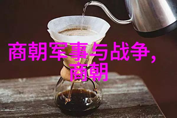 岳飞死后宋朝政治局势的动荡与变革宋神宗时期权力斗争的加剧