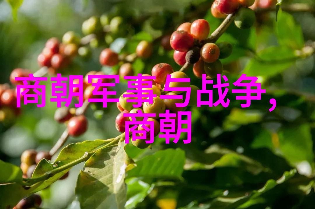 辉煌与沉沦元朝的光芒与阴霾