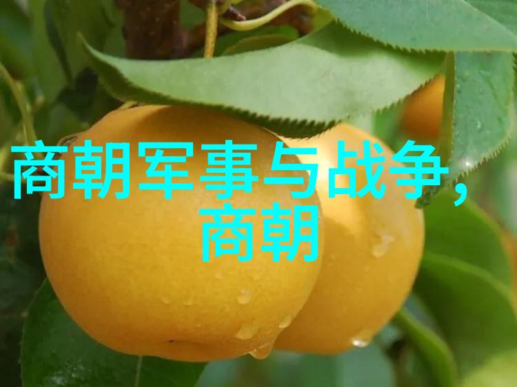 清朝服饰龙袍旗袍绣衣唐装