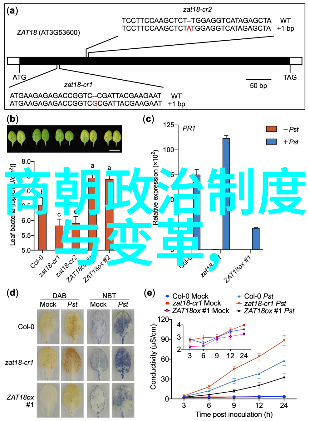 专门看历史的app我发现了个超级有趣的小工具它能带你穿梭时空看见那些古老的风貌