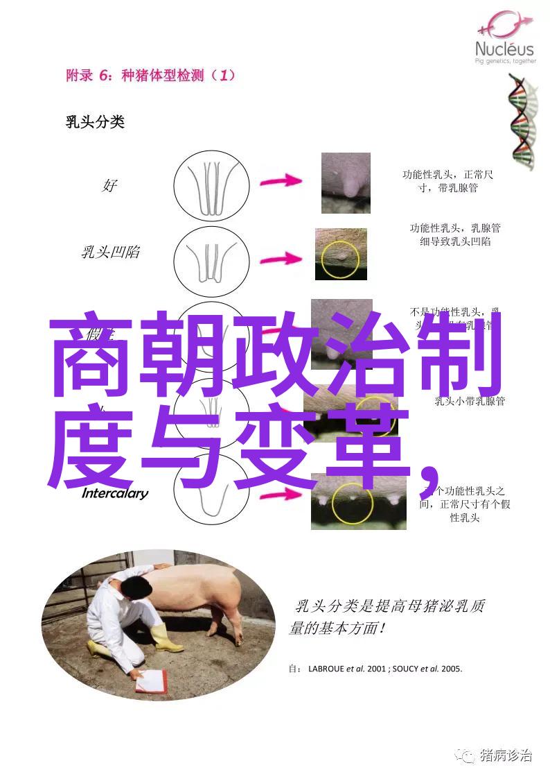 季子越逆袭之王季子越的篮球奇迹