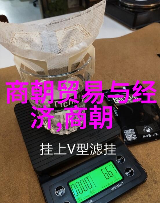 郑贵妃明神宗朱翊钧的皇贵妃就如同光绪被囚禁的十年生活中的那抹温柔月光静好而不露声色