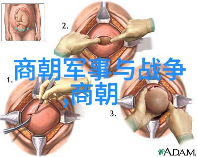 明朝人口最多之谜剖析历史数据与社会因素