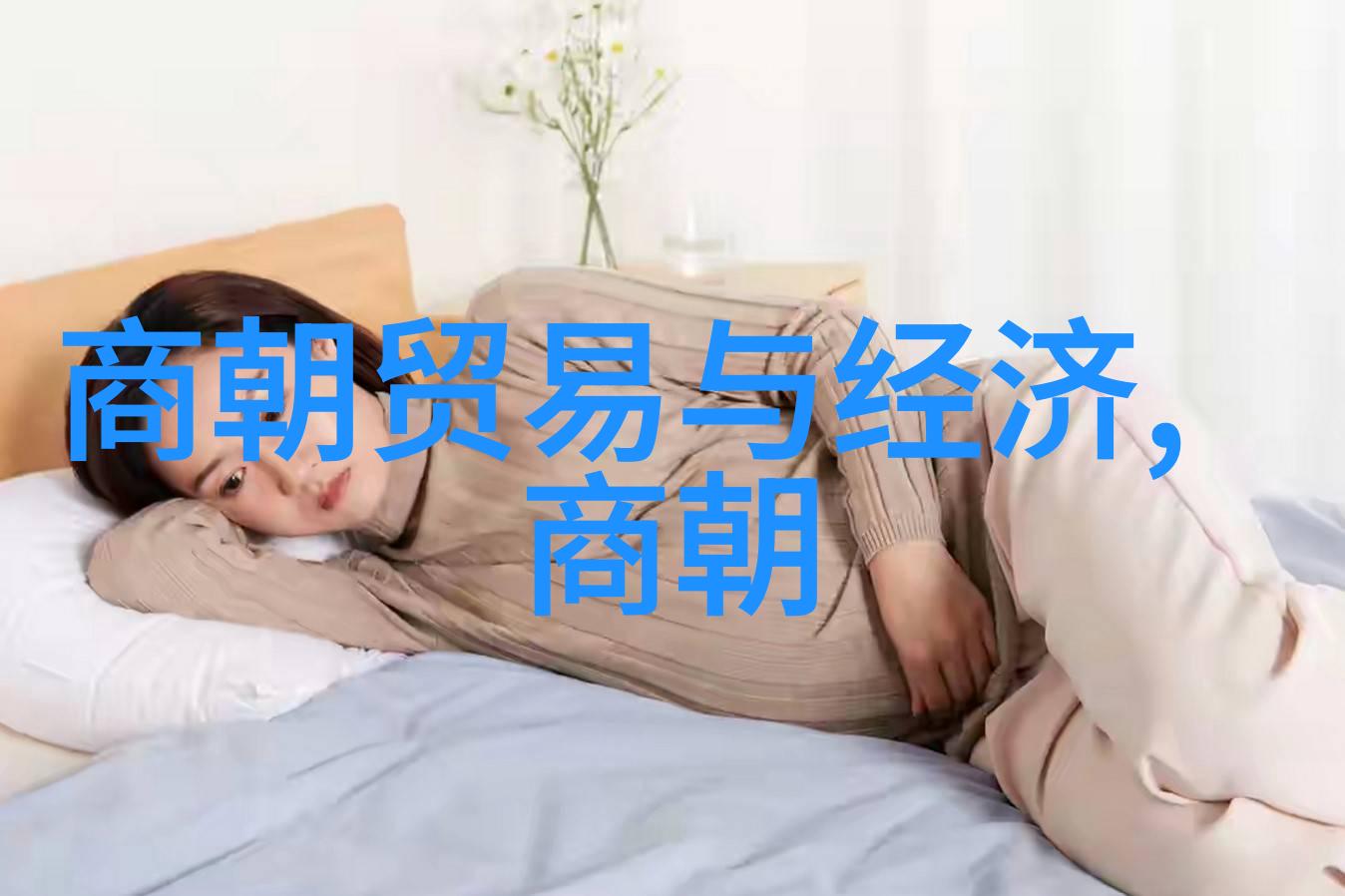 明朝历史讲解视频揭秘明王朝的辉煌与衰落