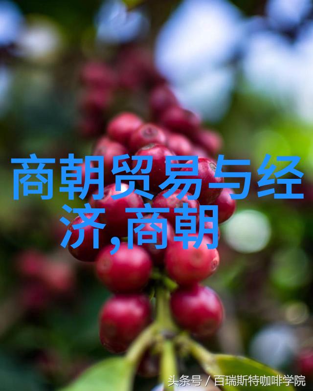 刘邦子孙后代之谜千年家族的遗落秘密