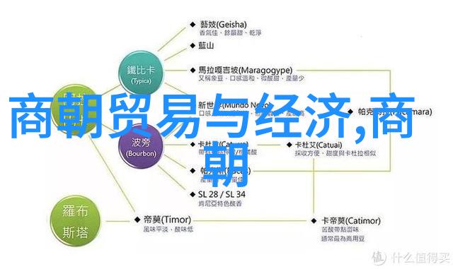 南宋覆灭之谜军事挫折经济衰败与外患重创