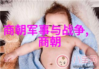 庙号和年号解析明朝皇帝为何有如此多样的称谓