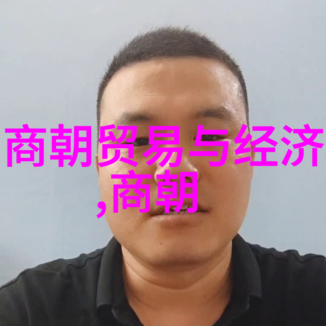 书法艺术属于什么艺术-墨水的诗韵探索书法艺术的本质与多维度